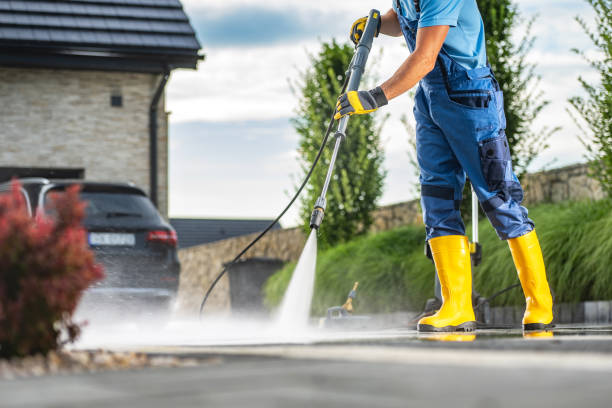 Best Roof Cleaning and Mildew Removal in Rochelle, GA